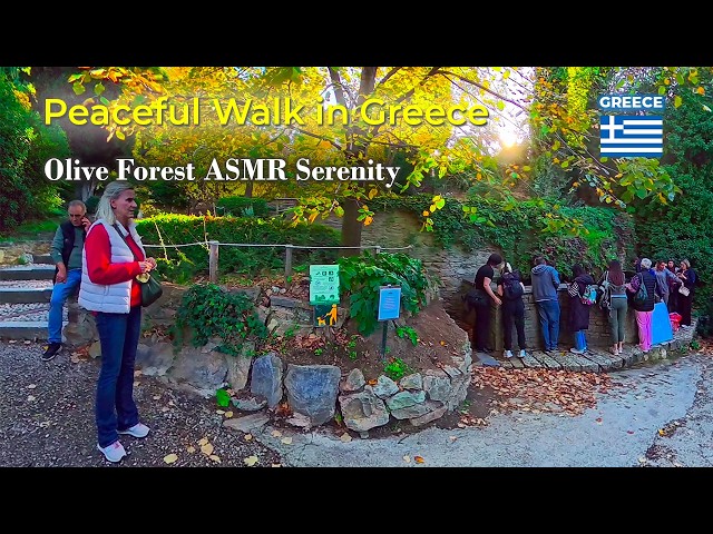 Kesariani Monastery Walk ASMR 🌿 | Relaxing Nature Sounds in Greek Olive Forest