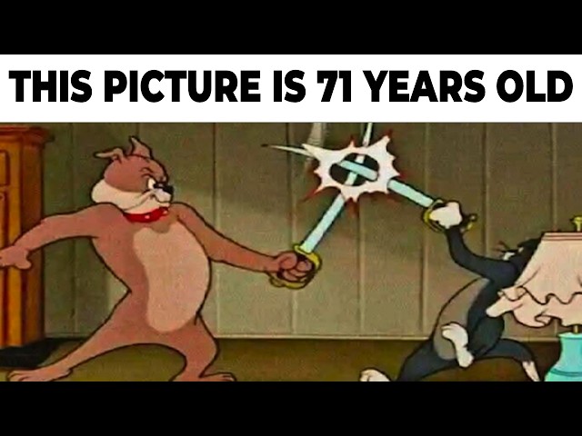 Cartoon Memes