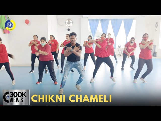 Chikni Chameli | Dance Video | Zumba Video | Zumba Fitness With Unique Beats