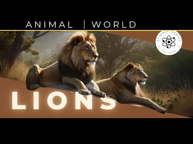 The Majestic World of Lions: A Comprehensive Guide