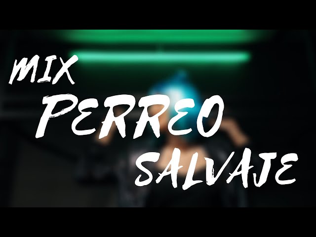 Mix Perreo Salvaje 🔥 OldSchoold - Reggeaton Antiguo Hist 🔥 Dj Anthony Alexander