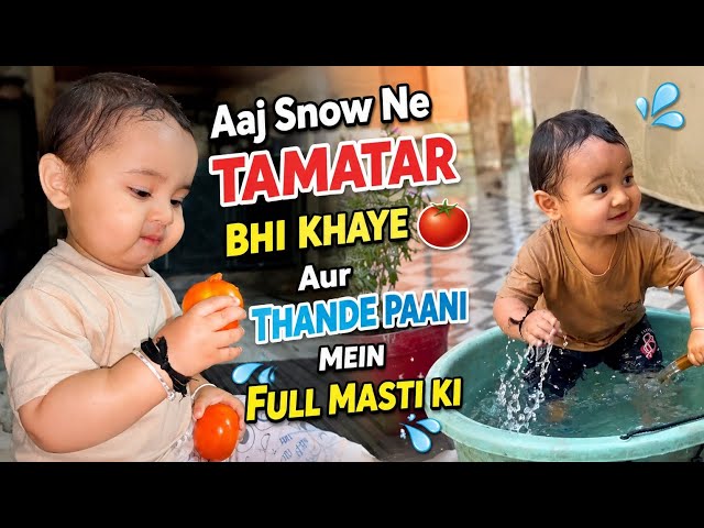 Today Snow ate tomatoes 🍅 and had a blast in cold water.