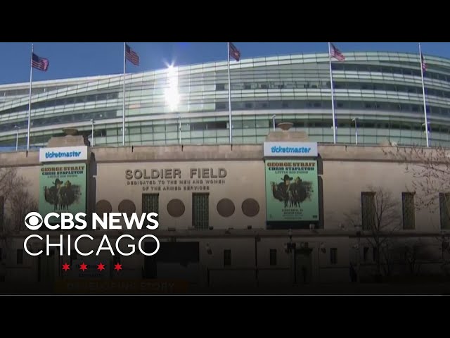 What's next for the Bears?