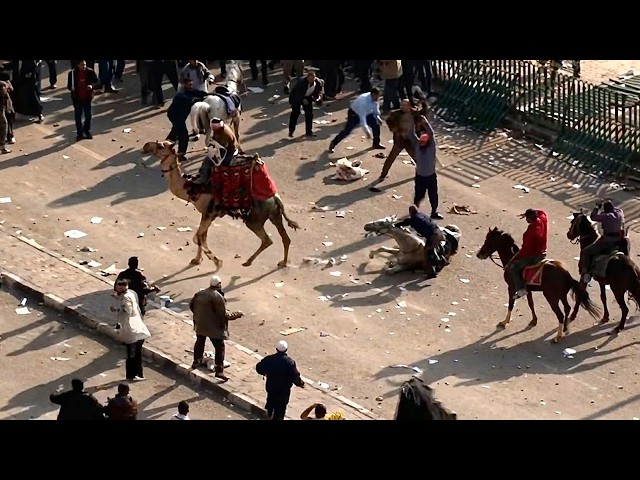 Les nouveaux révolutionnaires de la démocratie