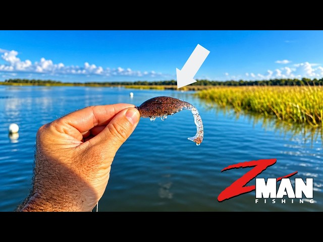 THIS Crab Imitation Lure Caught EVERYTHING In The Marsh!
