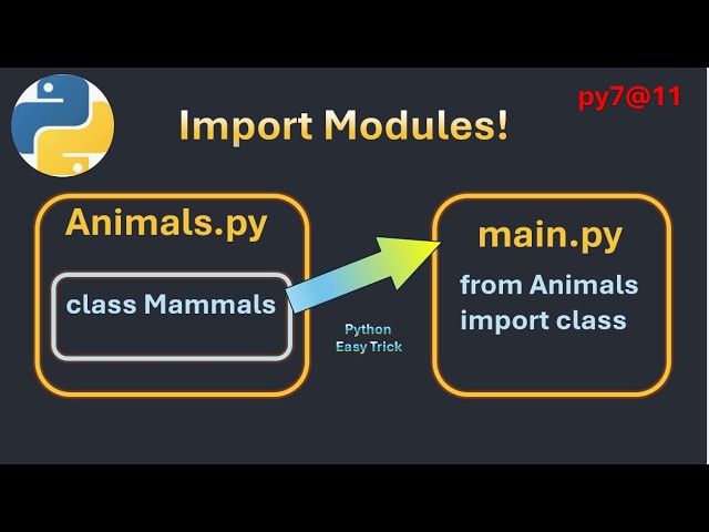 py7@11 Python Import Modules Explained  How to Import Classes from Another File Beginner Friendly