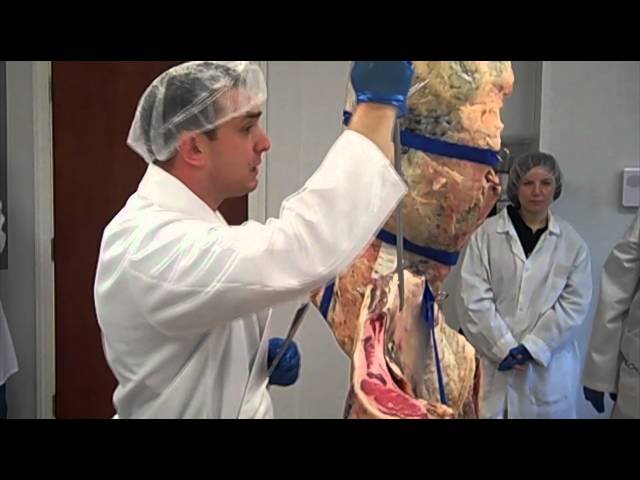The 10 specifications for Certified Angus Beef
