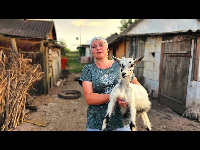 LIFE in the remote village in Ukraine. Cooking dumplings