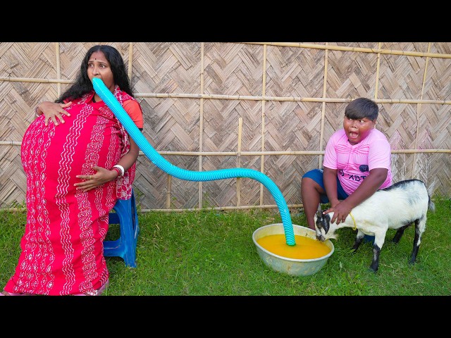 Must Watch Special Challenging New Comedy Video Amazing Funny Video 2026 Episode 123 By Fun Tv 24