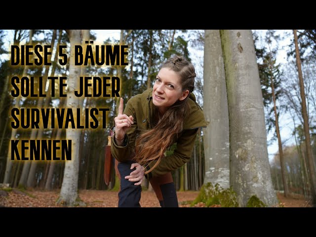 🌲 Diese 5 Bäume sollte jeder Survivalist kennen! 🌳🦊Survival -Wissen einfach erklärt👌