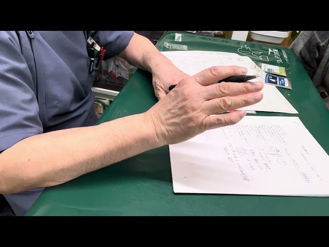 3. A conversation with the owner of the Java sparrows Gin-chan and Sakura-chan