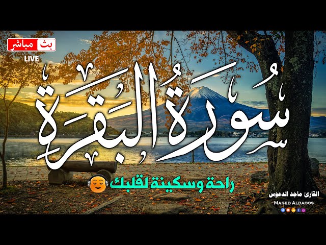 قرآن الصباح ☀️ قرآن كريم بصوت جميل جدا جدا يريح القلب 🤍 القارئ ماجد الدعوس