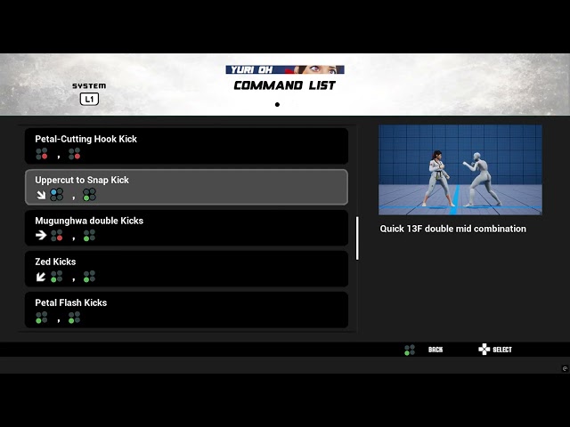UPDATED COMMAND LIST + BUTTON KEY INPUTS