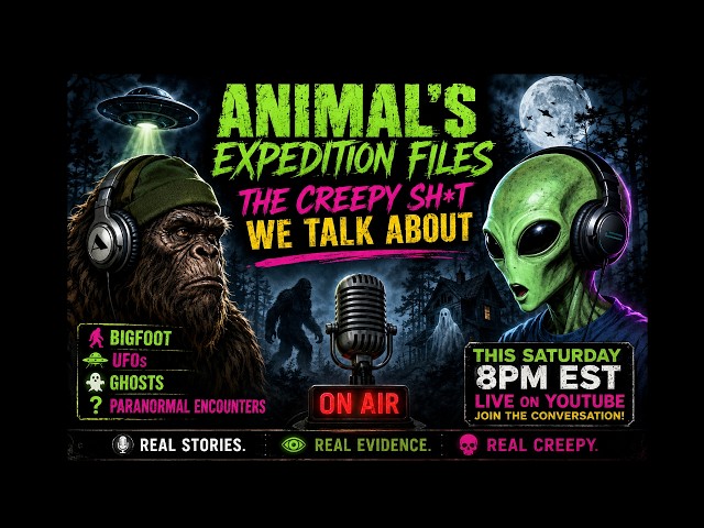 Live on Animal Expedition Files
