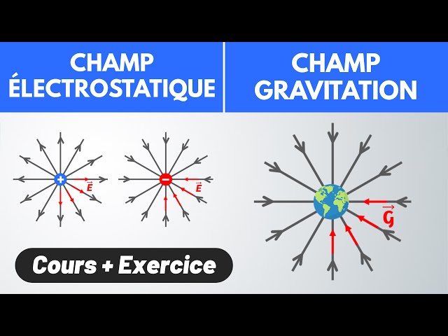 ELECTROSTATIC FIELD / GRAVITATION 💪 | 1st Year | Physics