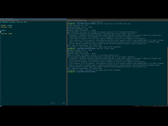 AARCH64 Assembly Hello World under 10 minutes 