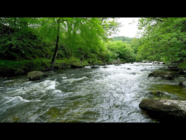 Mountain River Flowing Sounds 24/7 | Nature Sounds White Noise | Flowing Water for Deep Sleep, Relax