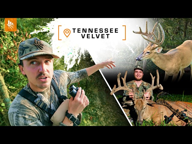 HUNTING VELVET GIANTS!!! Big Buck Down! (Season Opener) 