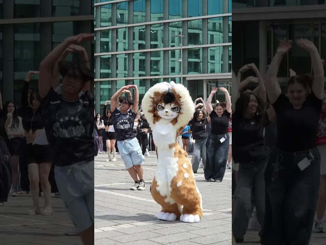 【Fursuit Dance】Luxxy - BLACKPINK 'JUMP'