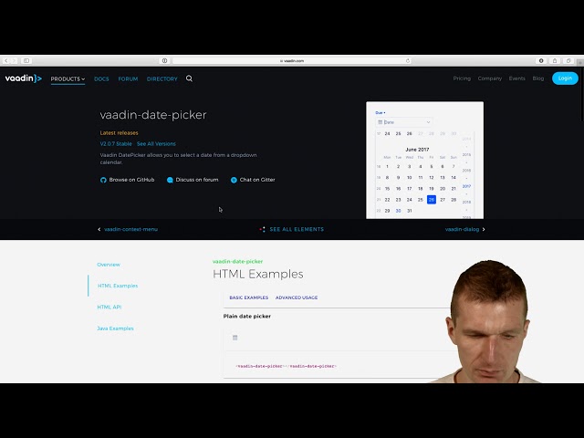 Using a DatePicker WebComponent