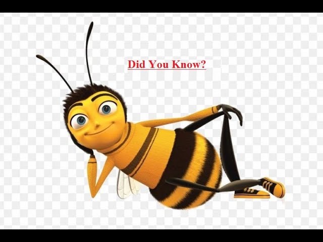 Consolidate data  | Advanced Spreadsheet | Class 10 Information Technology