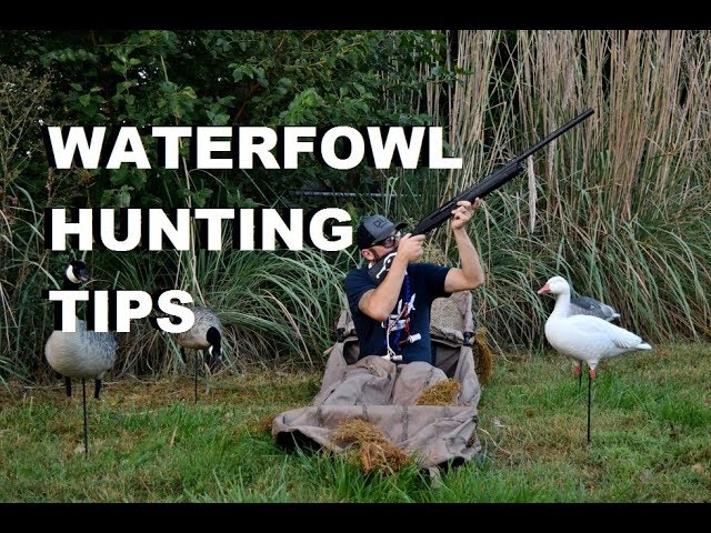 My TOP Layout Blind Tips!! Beginner Waterfowl How to