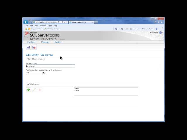 SQL 2008 R2 MDS Web Interface Model and Entity Creation