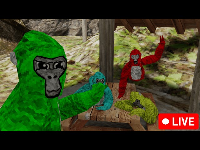 GORILLA TAG LIVE WITH VIEWERS!