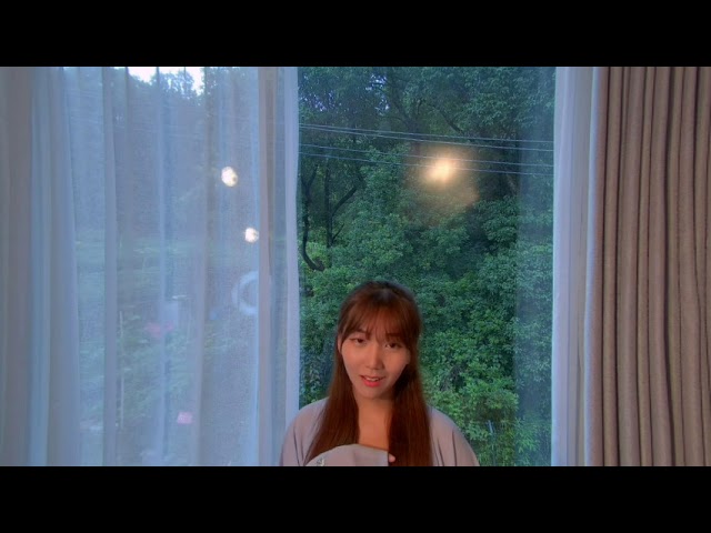 D9 left fisheye stitched