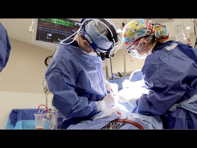 MUSC Pediatric Heart Surgery: We Have a Single Mission