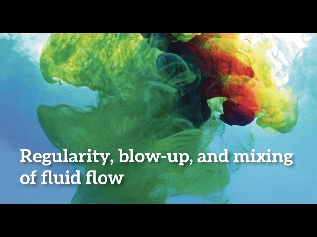 Introduction to Singularity Formation for Incompressible Euler Equations by In-Jee Jeong