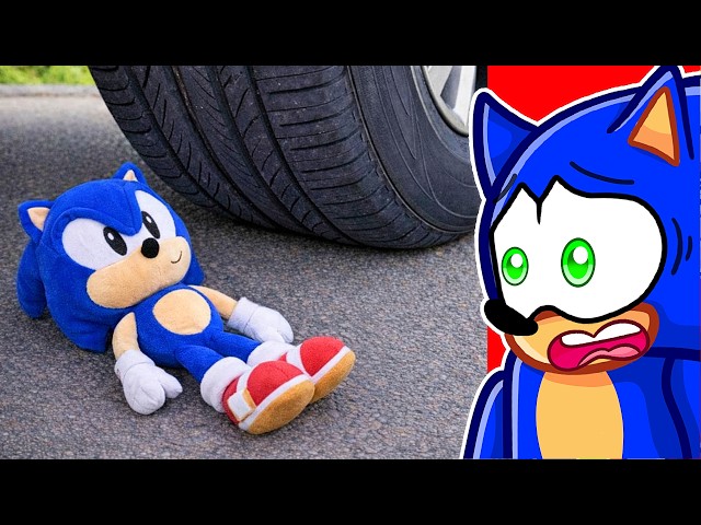 Sonic vs CAR!!