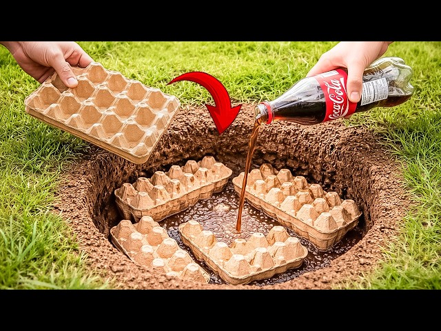 Pour Coca-Cola and Egg Cartons down a Hole! This Secret Shocked Experts! | Creation Invention