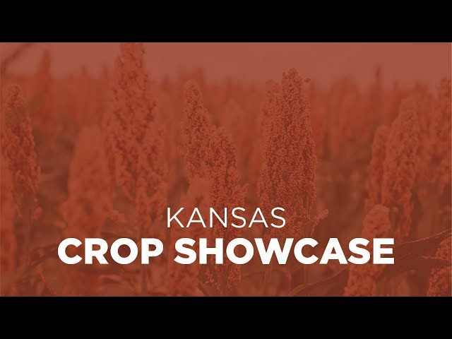 Kansas Crop Showcase