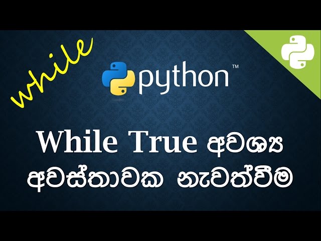 while True අවශ්‍ය අවස්තාවක නැවත්වීම Sinhala Python Code Examples -  🔥  සිංහලෙන්