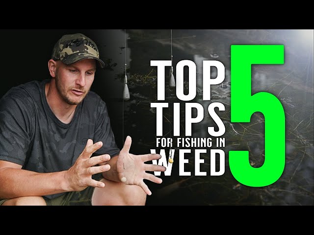 TOP 5 TIPS FOR FISHING IN WEED! Carp Fishing PRO Rob Burgess Shows You How Its Done! Mainline Baits!