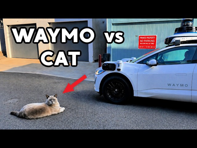30 Minutes of WAYMO Accidents and Fails (self-driving car)