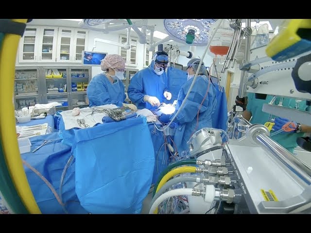 Repairing the Heart | Cardiothoracic Surgery