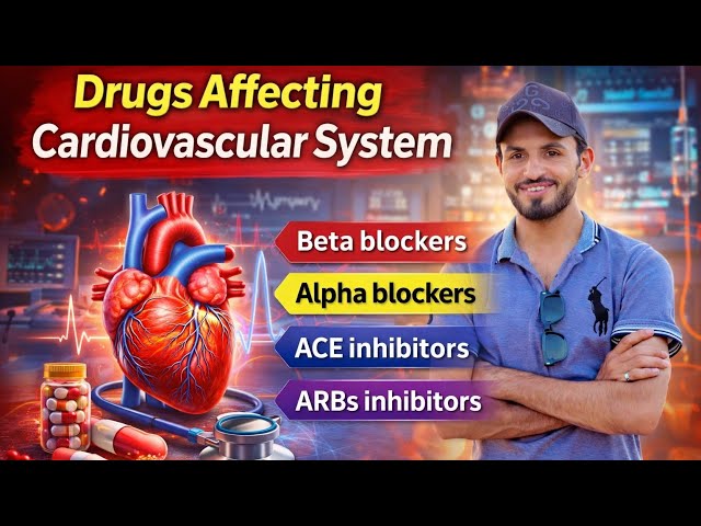 Drugs Affecting Cardiovascular System | Classification, Mechanism & Examples (Nursing & BSN)