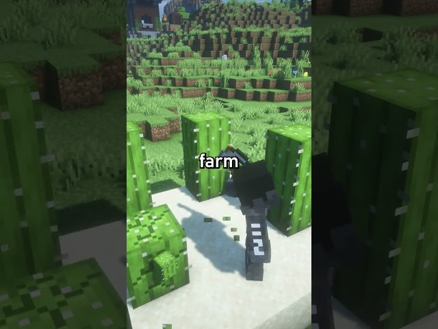 You can Win REAL MONEY on this Minecraft Server…