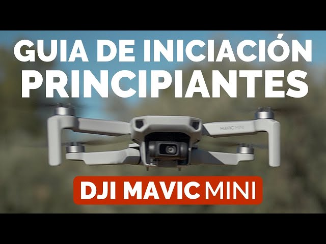 DJI MAVIC MINI - GUIA INICIACIÓN PRINCIPIANTES en ESPAÑOL - DJI FLY APP EXPLICADA