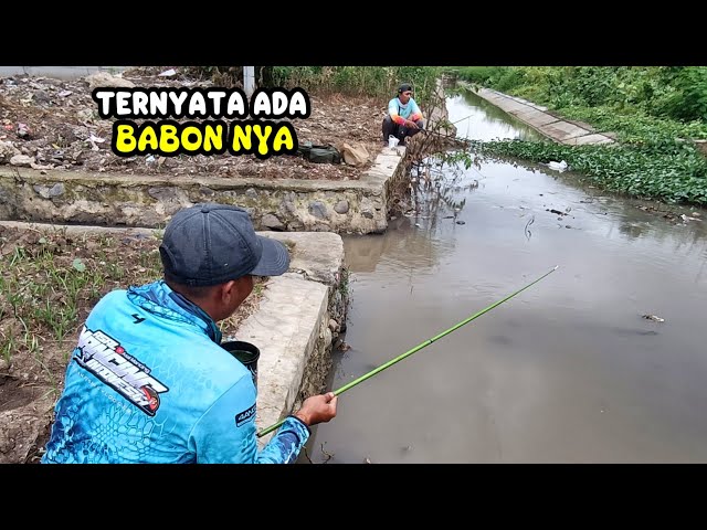 Seharian Berkeliling Mencari Spot Mancing,Ahirnya Ketemu Spot Pertigaan Yang Dihuni Ikan Nila
