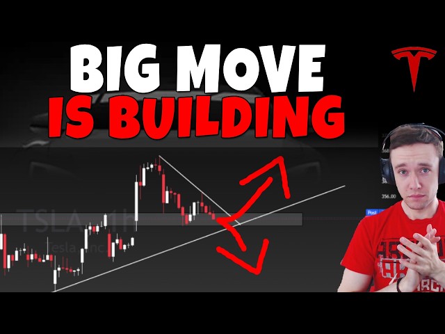 Stock Technical Analysis on TSLA, SPCX, PLTR, HOOD, SOFI, MU, NBIS, META