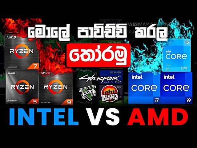 intel vs AMD sinhala - Which is best Processor - intel vs Ryzen Performance to Value Comparison