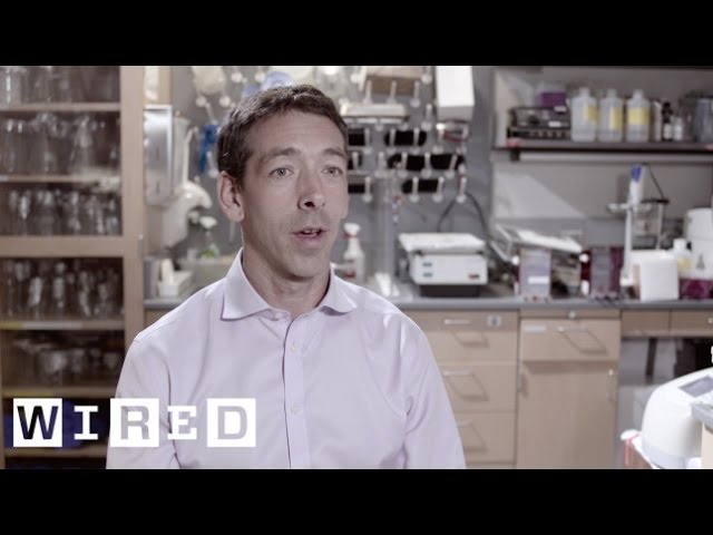 The Elite Study: DNA of Extreme Human Performance