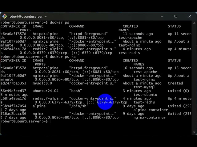 test docker complete