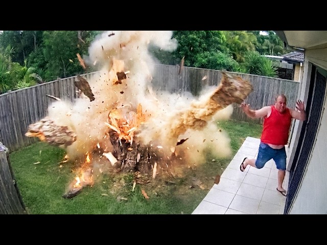 Best Fails of the Month 😂 Try Not to Laugh Challenge