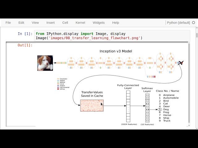 TensorFlow Tutorial #08 Transfer Learning