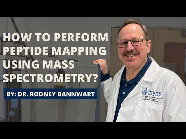 Step-by-step LC-MS Peptide Mapping
