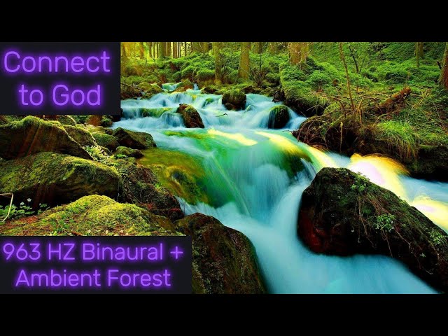 Solfeggio 963 HZ Ambient Forest - Talk with God Frequency | Healing | 3rd Eye Activation
